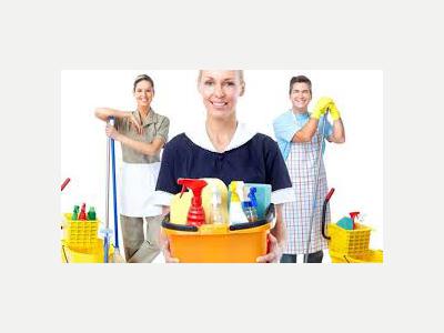  personal de limpieza dom�stica 